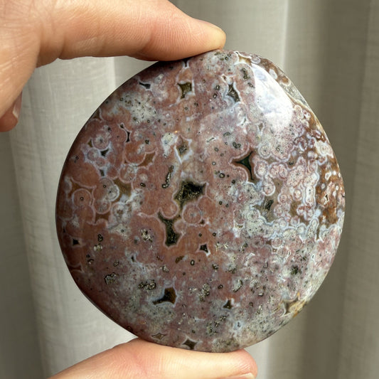 Sea Jasper Palm