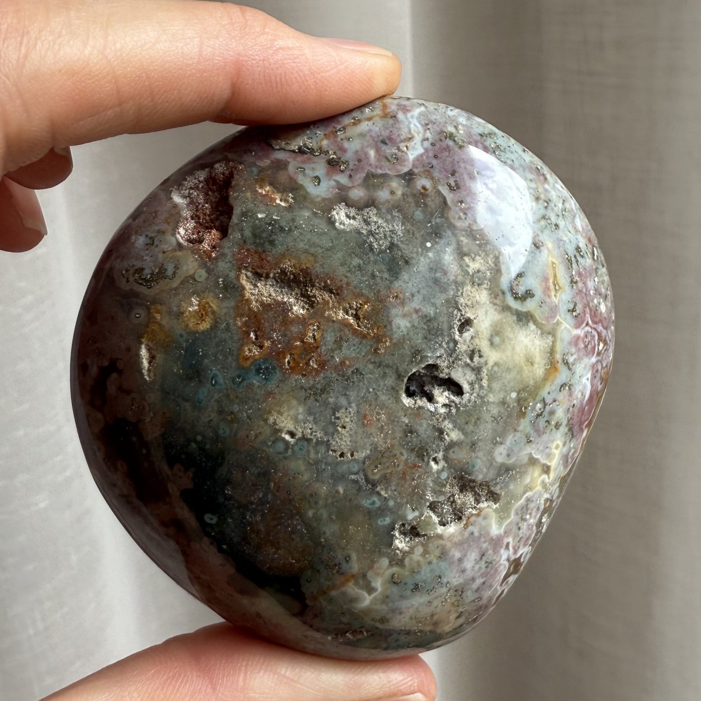 Sea Jasper Palm