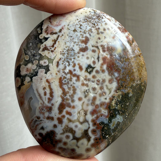 Sea Jasper Palm