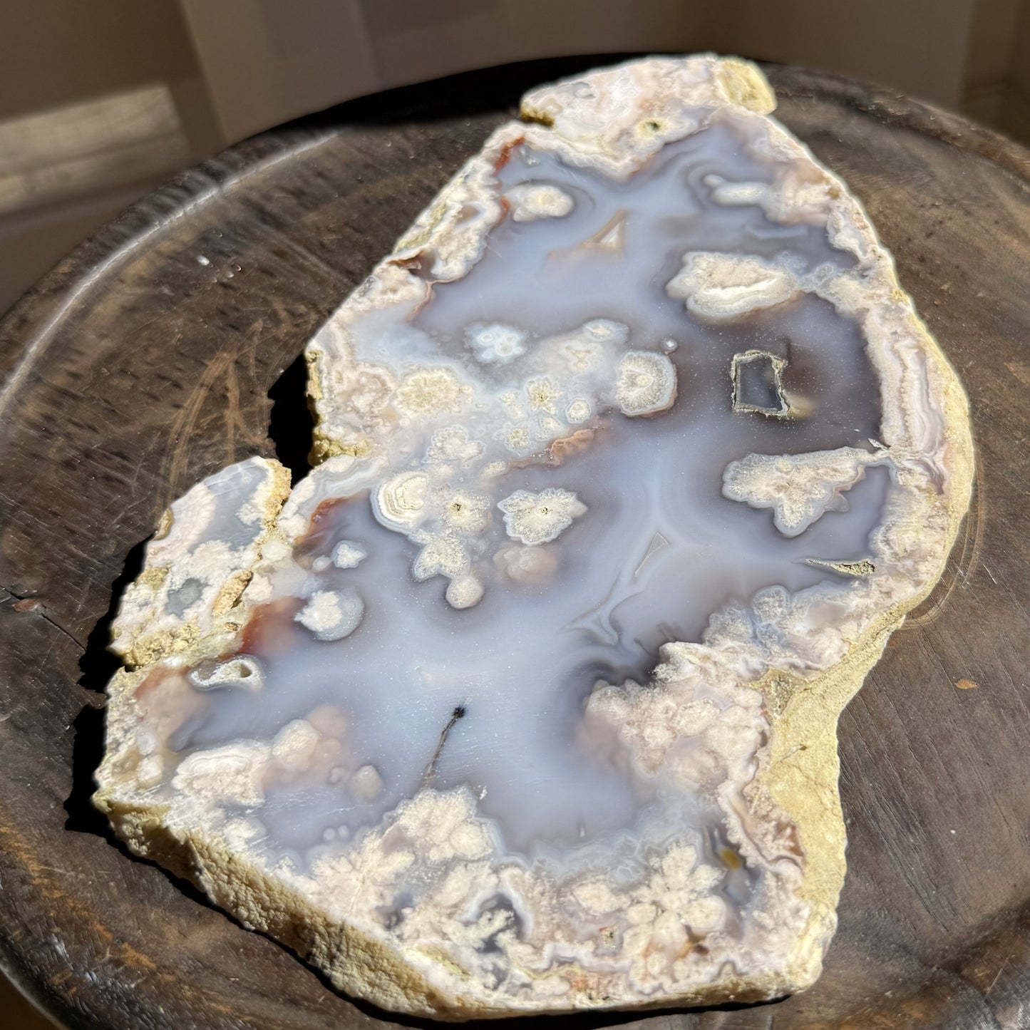 Blue Flower Agate Slab