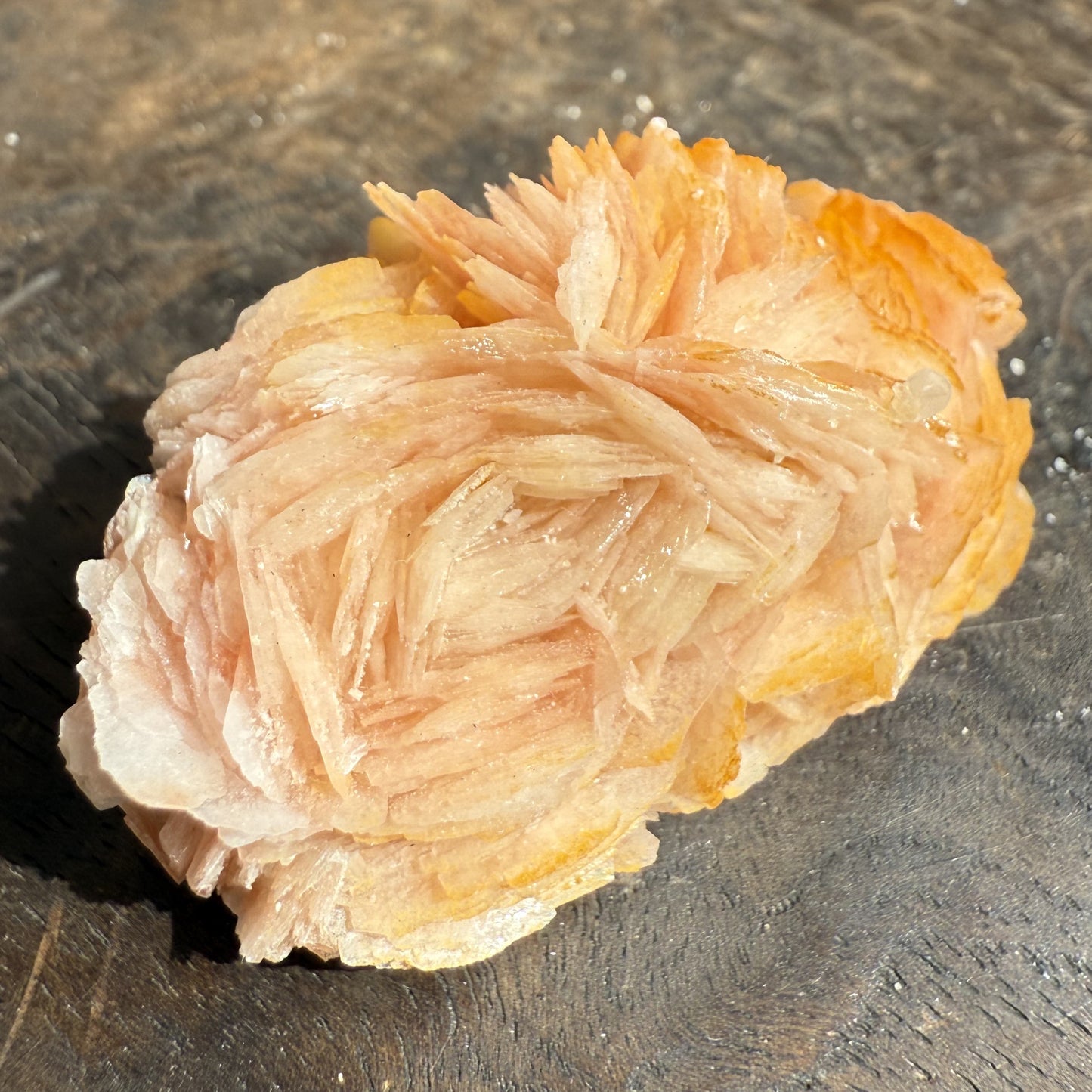 Cerussite Barite Cluster 5