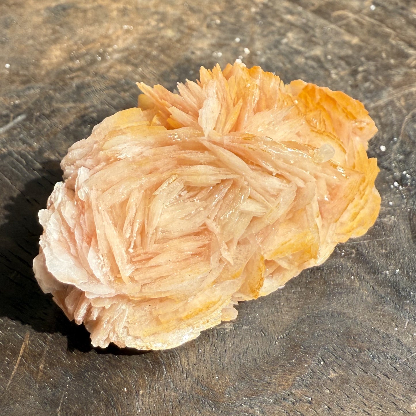 Cerussite Barite Cluster 5