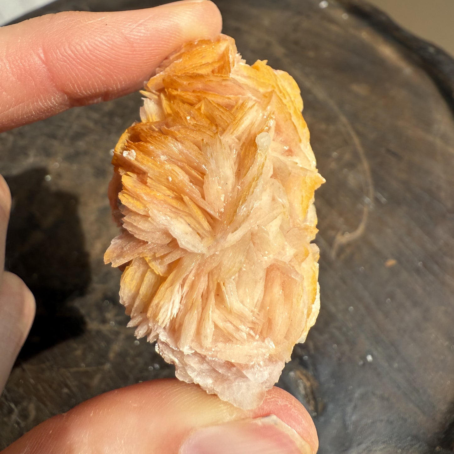 Cerussite Barite Cluster 5