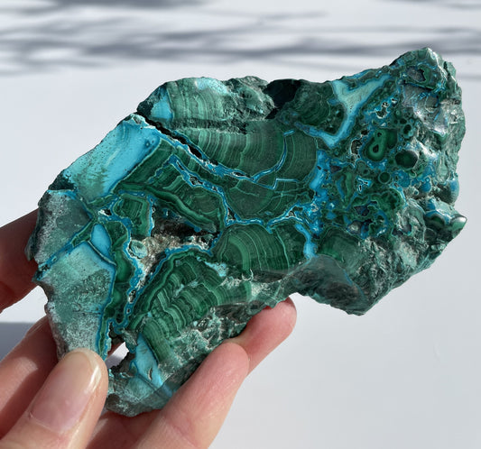 Malachite Polished Slice with Chrysocolla