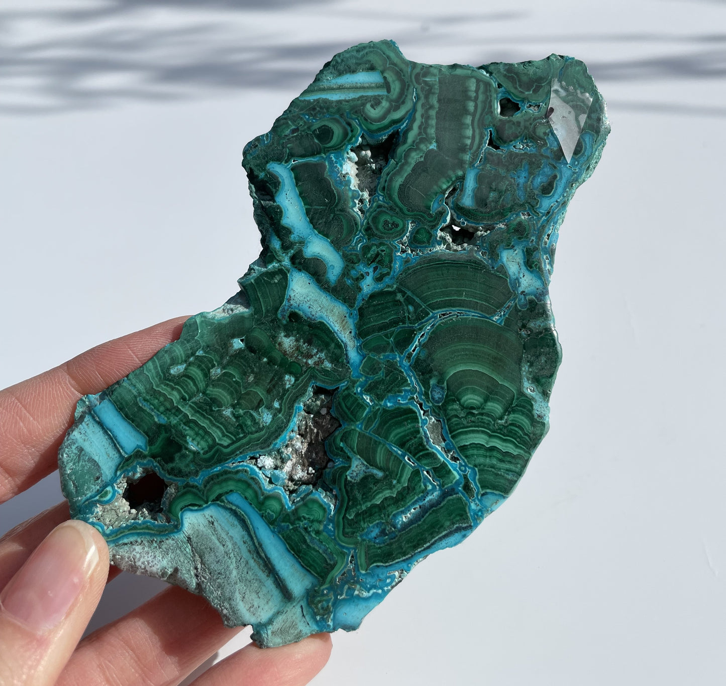 Malachite Polished Slice with Chrysocolla