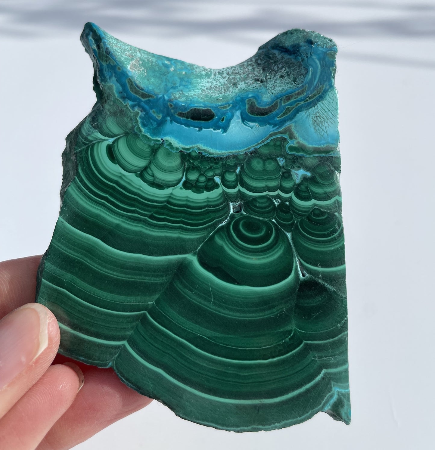 Malachite Polished Slice with Chrysocolla