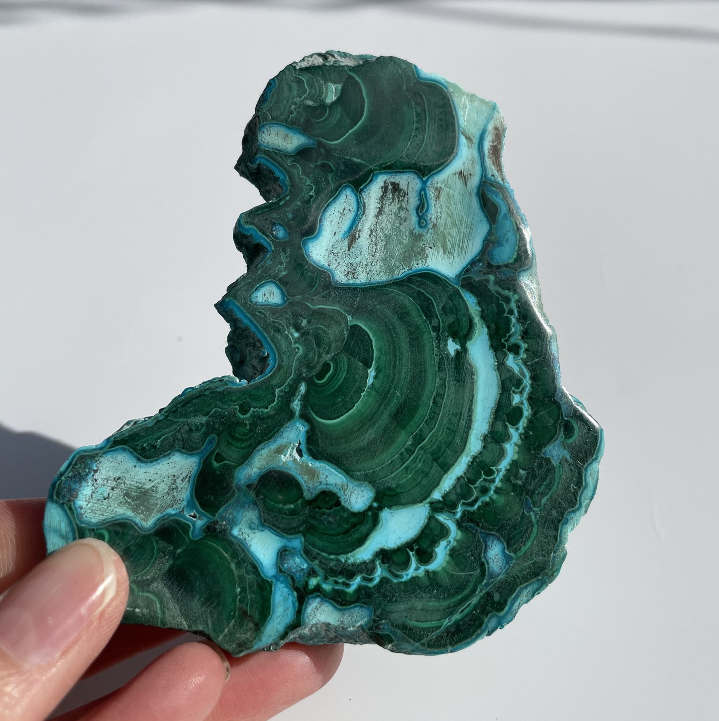 Malachite Polished Slice with Chrysocolla