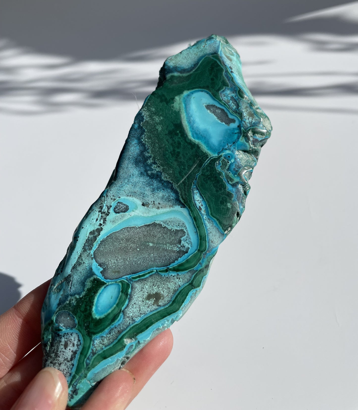 Malachite Polished Slice with Chrysocolla