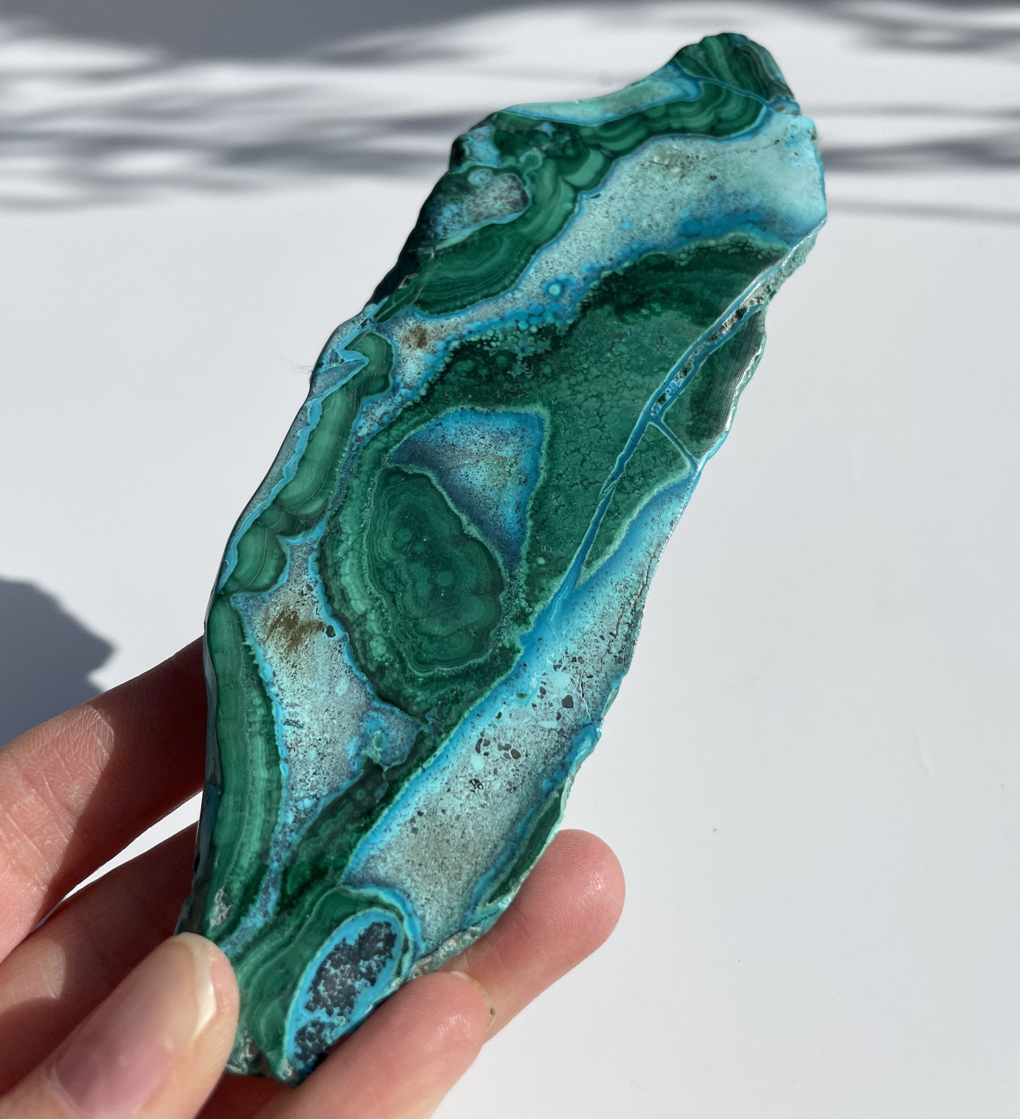 Malachite Polished Slice with Chrysocolla