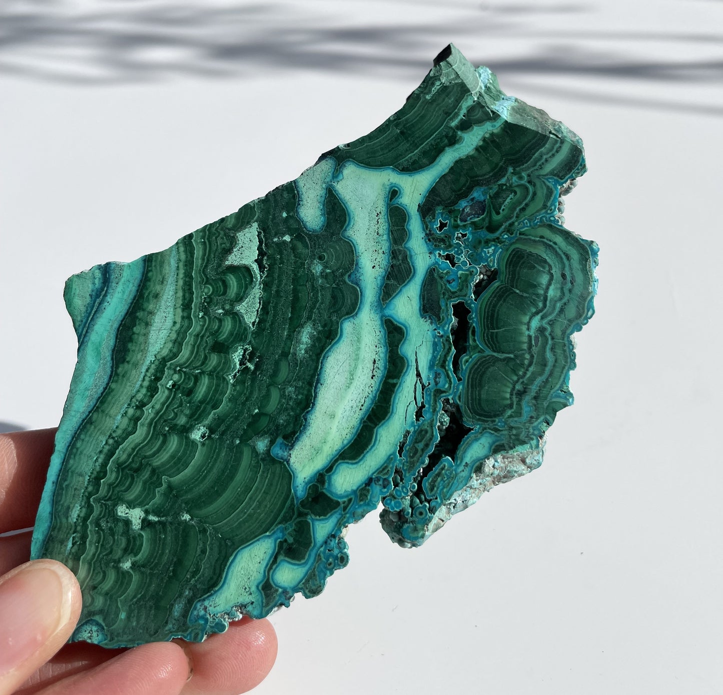 Malachite Polished Slice with Chrysocolla