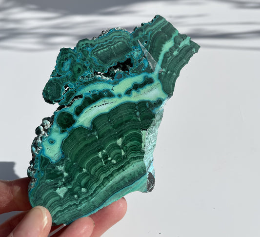 Malachite Polished Slice with Chrysocolla