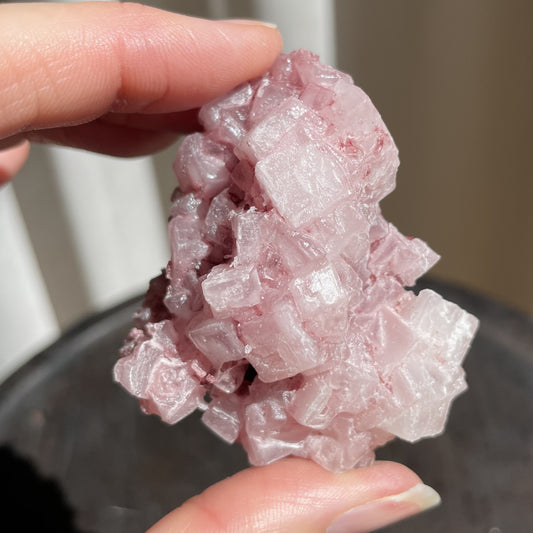 Halite - Medium 007