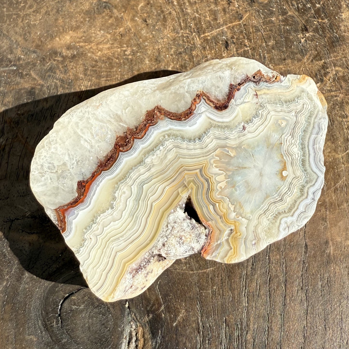 Mexican Lace Agate 5