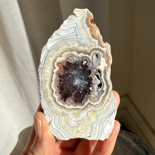 Mexican Lace Agate 6