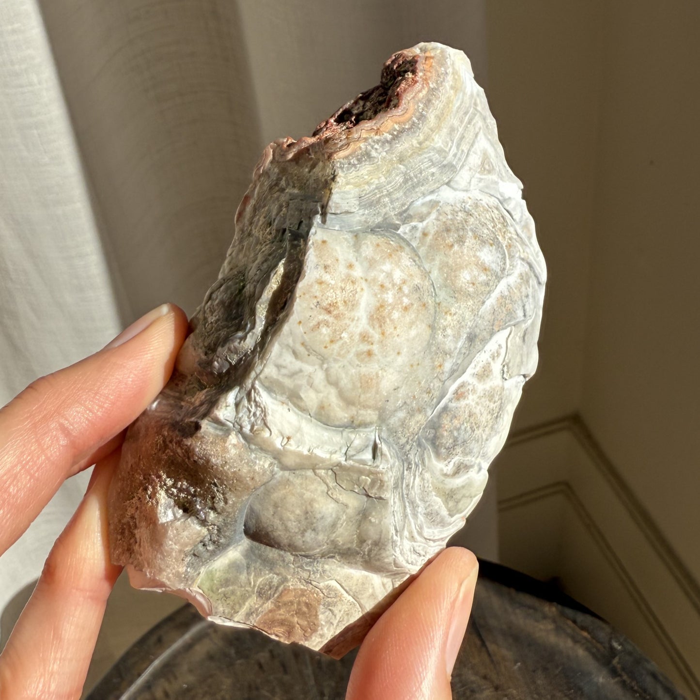 Mexican Lace Agate 7