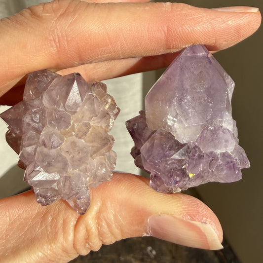 Spirit Quartz Cluster - Minis 6