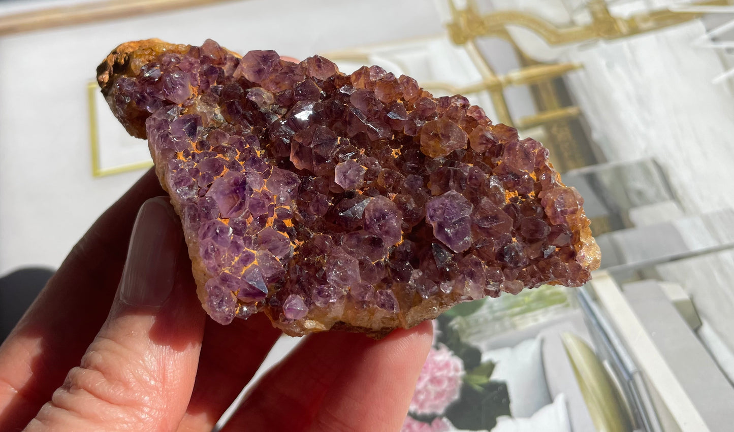 Dark Amethyst Cluster 010